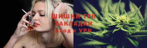 соль ск Алексин