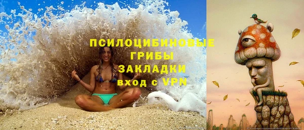 соль ск Алексин
