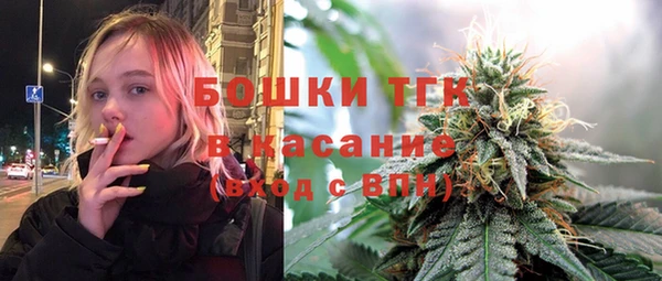 соль ск Алексин